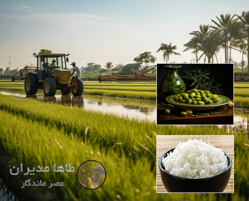اخذ ایزو گیلان